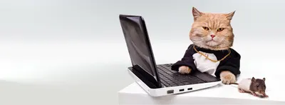 Digi-Art Studio Marcin Turno